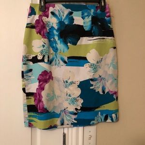 Ladies skirt
